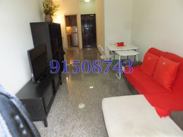 Nineteen Shelford Road (D11), Condominium #159155912